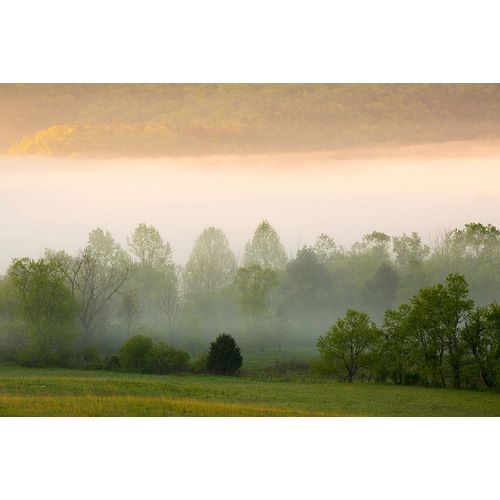 Tennessee Early morning fog in Cades Cove